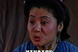 义乌融资清欠服务